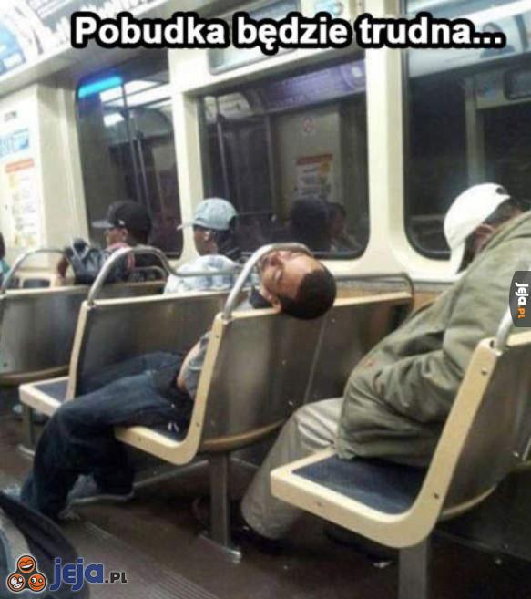 Pobudka