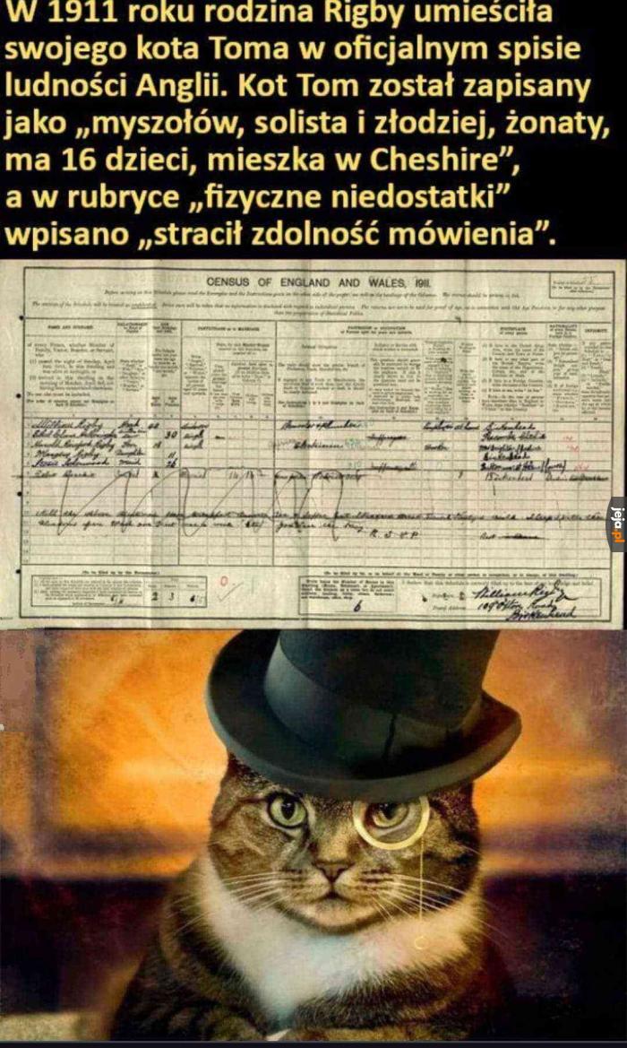 I co tu się niby nie zgadza?