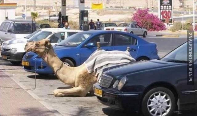 Parkowanie w Arabii