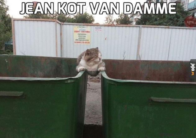 Jean Kot van Damme