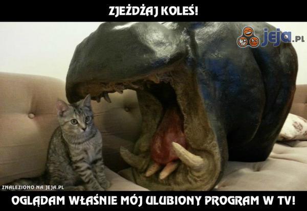 Zjeżdżaj koleś!