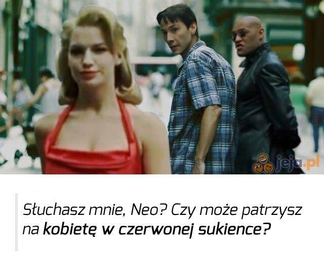 Ciężko oka nie zawiesić