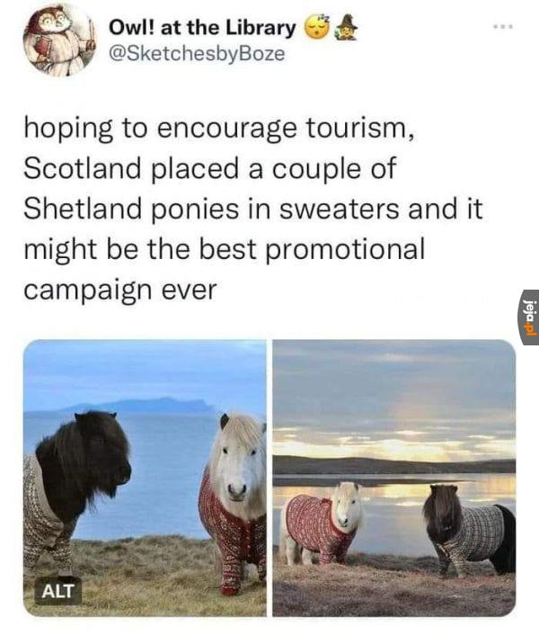 Najlepsza kampania turystyczna ever