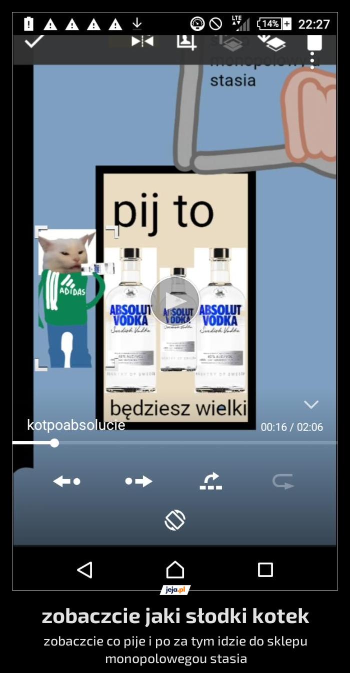 Zobaczcie jaki słodki kotek