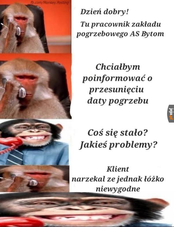 Malpie śmieszki