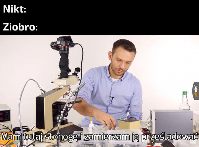 Autentyk
