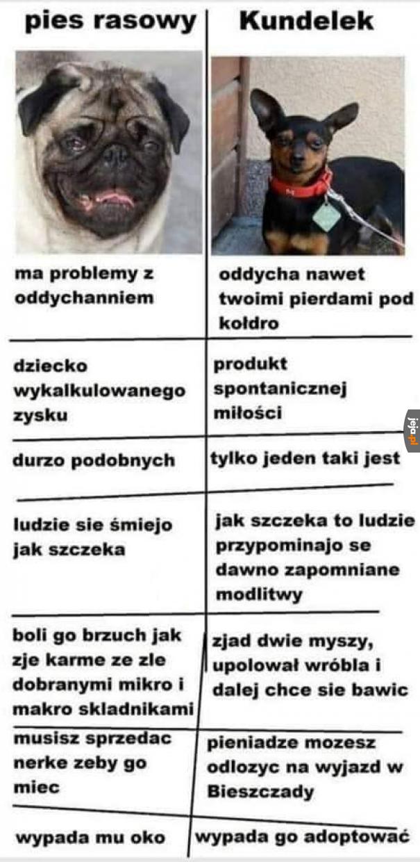 Dobrze wiesz, co lepsze