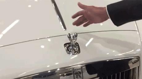 Zabezpieczenie przed kradzieżą emblematu