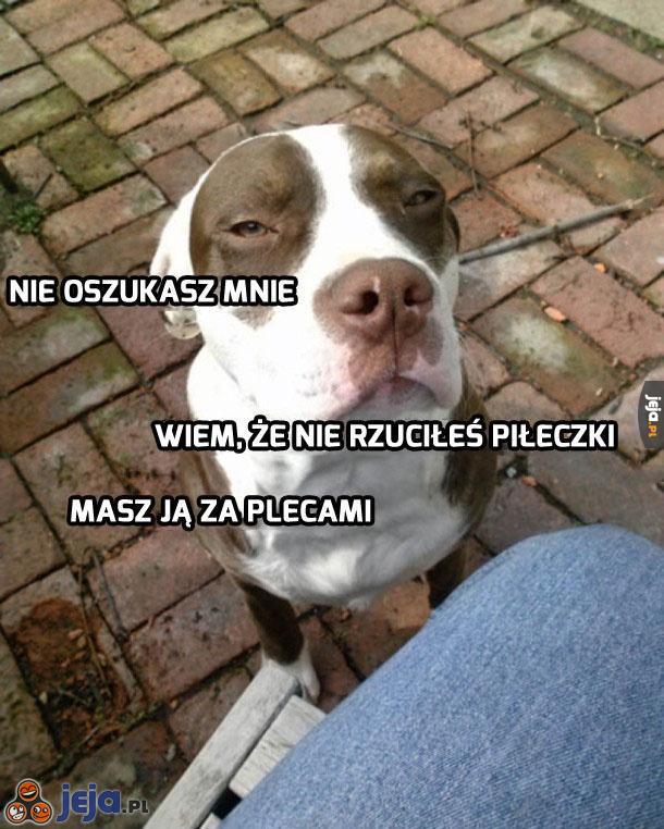 Ej, Ty oszukujesz...