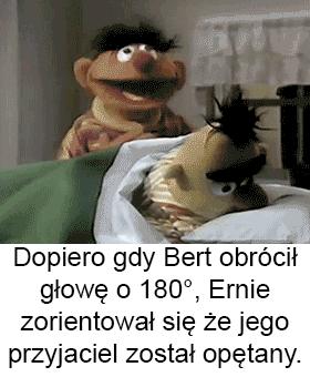 Bert i Ernie