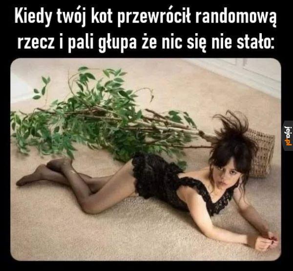 A to gagatek