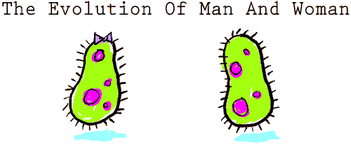 Ewolucja faceta i kobiety