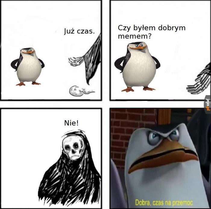 Jeszcze mnie za to przeprosisz i powiesz, że byłem dobrym memem!