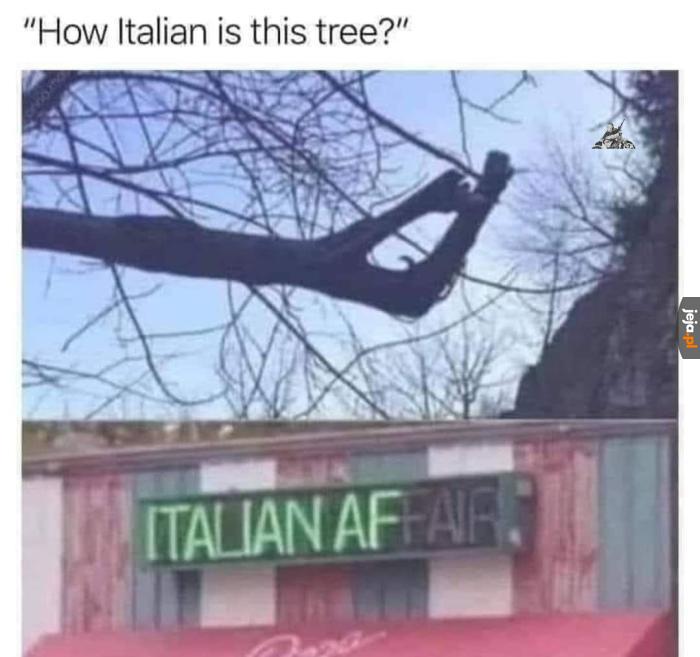 Bardzo włoskie drzewo