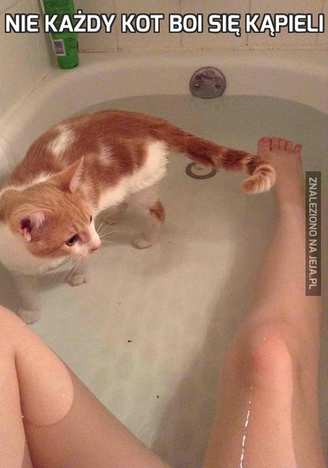 Nie każdy kot boi się kąpieli