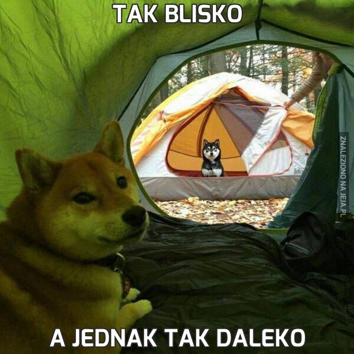 Tak blisko