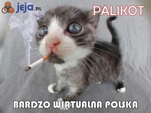Palikot