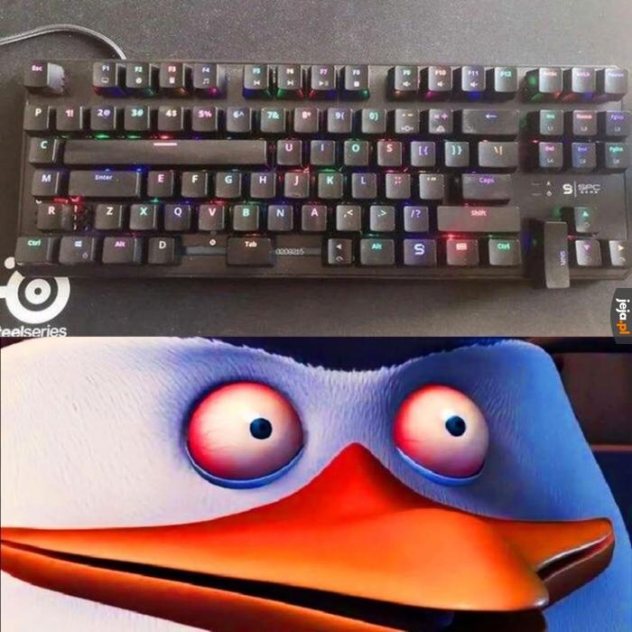 Abominacja