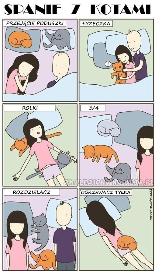 Spanie z kotami