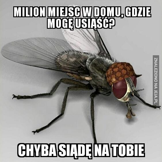 Milion miejsc w domu, gdzie mogę usiąść?