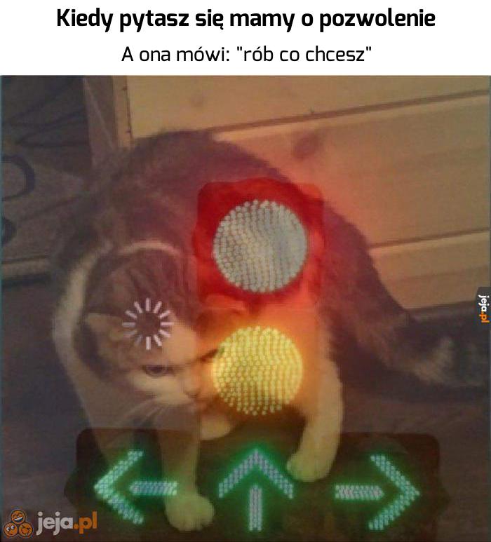 To mogę czy nie mogę?