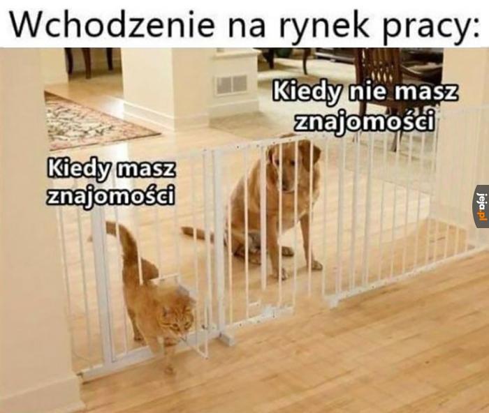 Nie polecam