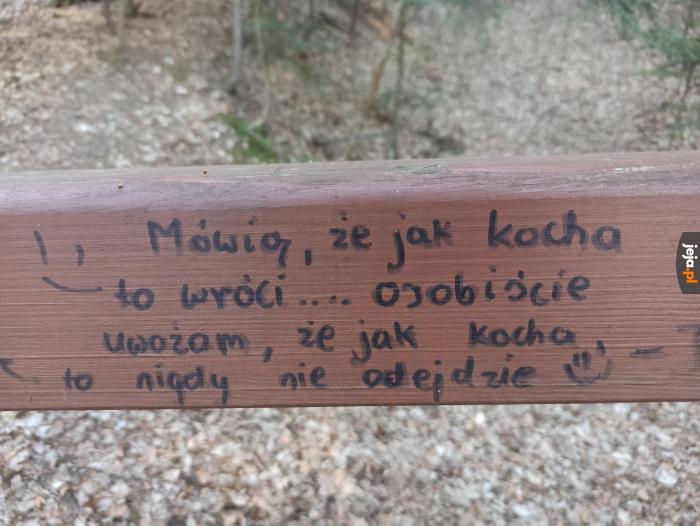 Coś w tym jest