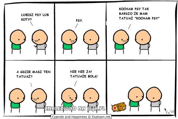 Kochasz psy czy koty?