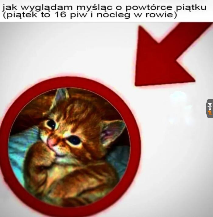 P jak piwo :3