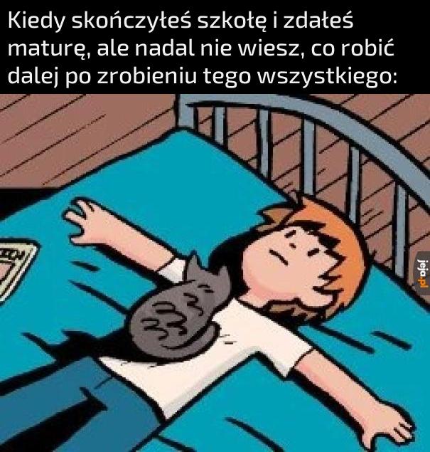 Niech lepiej kocur zadecyduje o moim dalszym losie