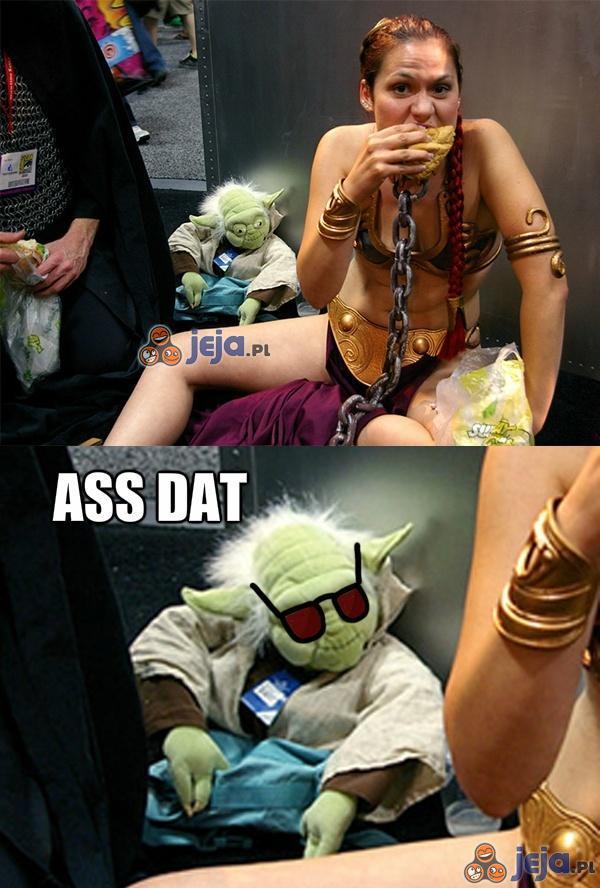 Yoda mistrz podziwia pannę tę