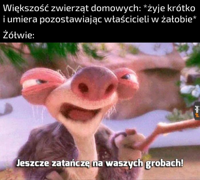 To my jesteśmy ich pupilkami