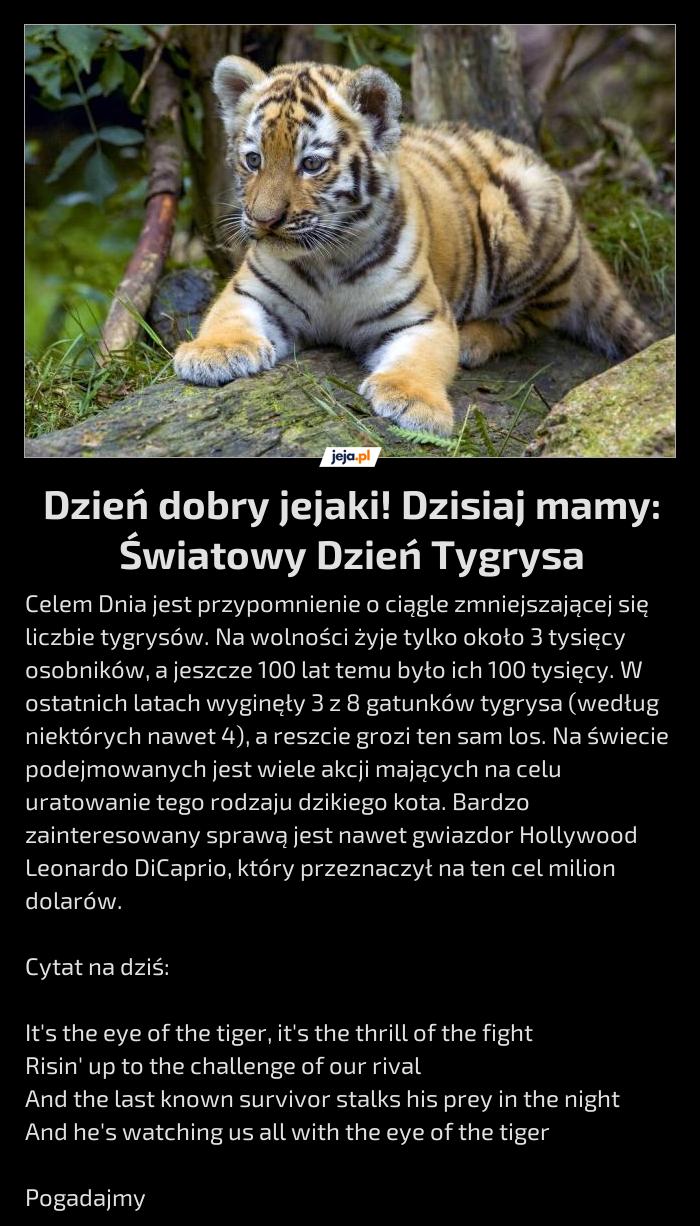Dzień dobry jejaki! Dzisiaj mamy: Światowy Dzień Tygrysa