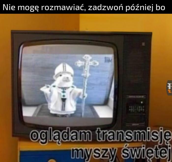 Zajęty