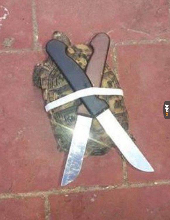 Żółw ninja
