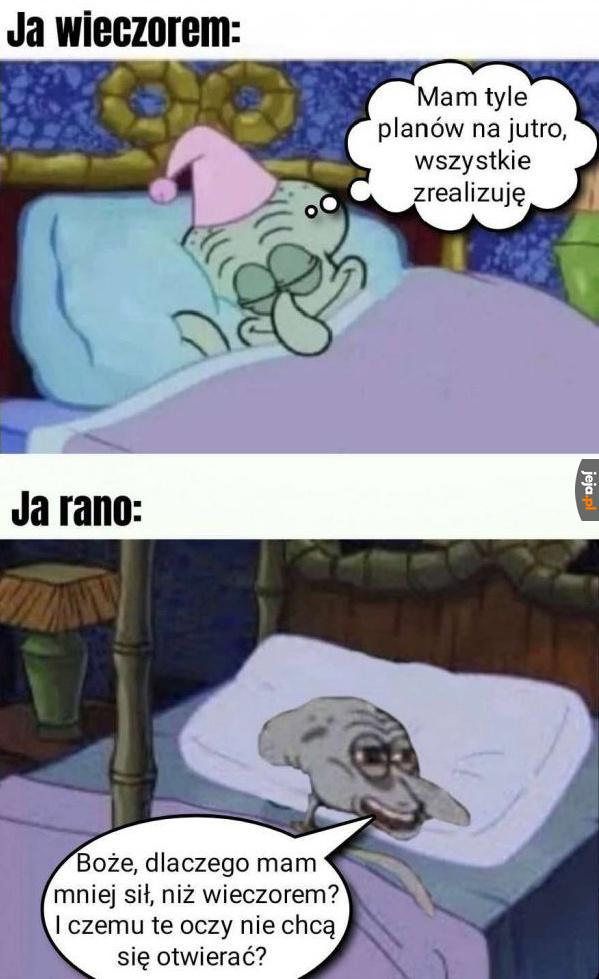 Absolutnie największy koszmar życia na tej planecie