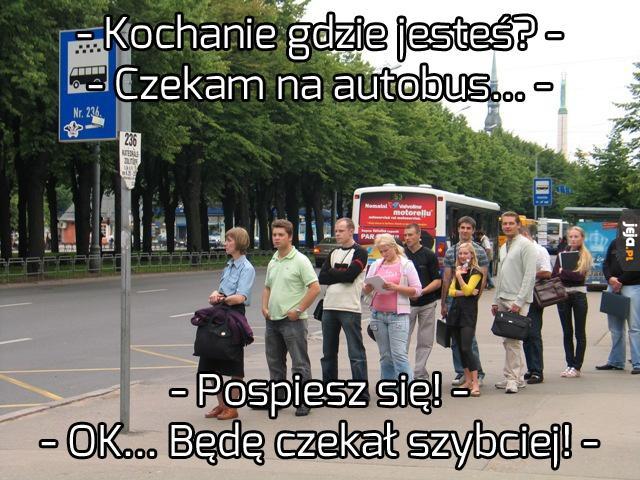 Poczekam szybciej