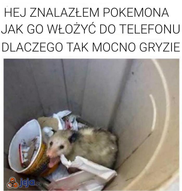 Prawdziwy polski Pokemon