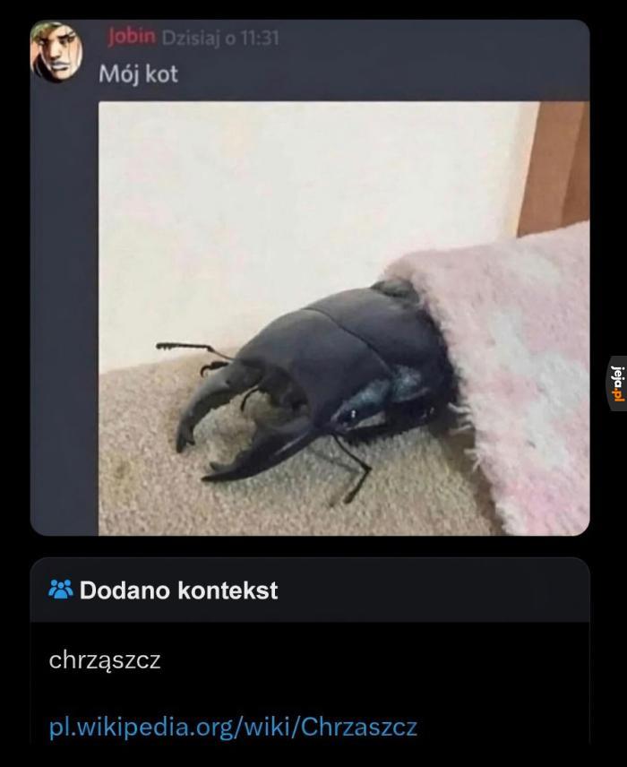 Pomyłka nie uszła uwadze internautów