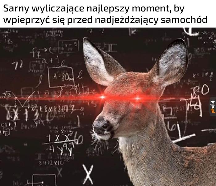 Maksymalizacja zniszczeń