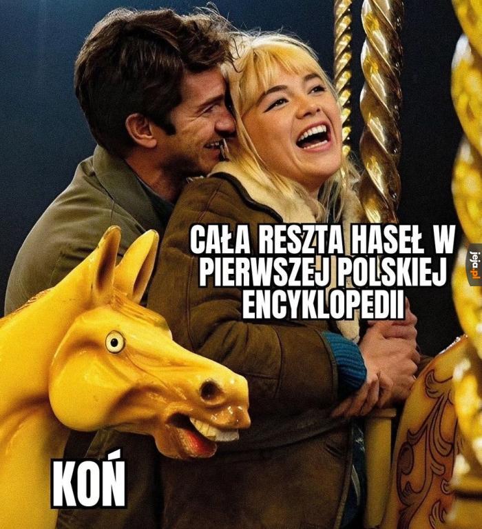 Koń, jaki jest każdy widzi