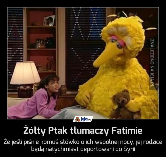 Żółty Ptak tłumaczy Fatimie
