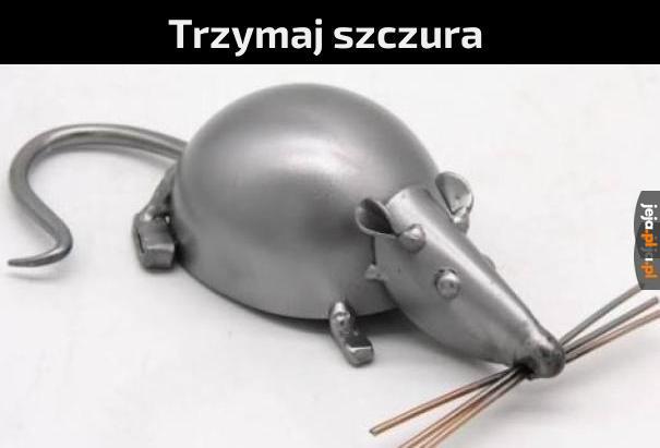 SZCZURZE