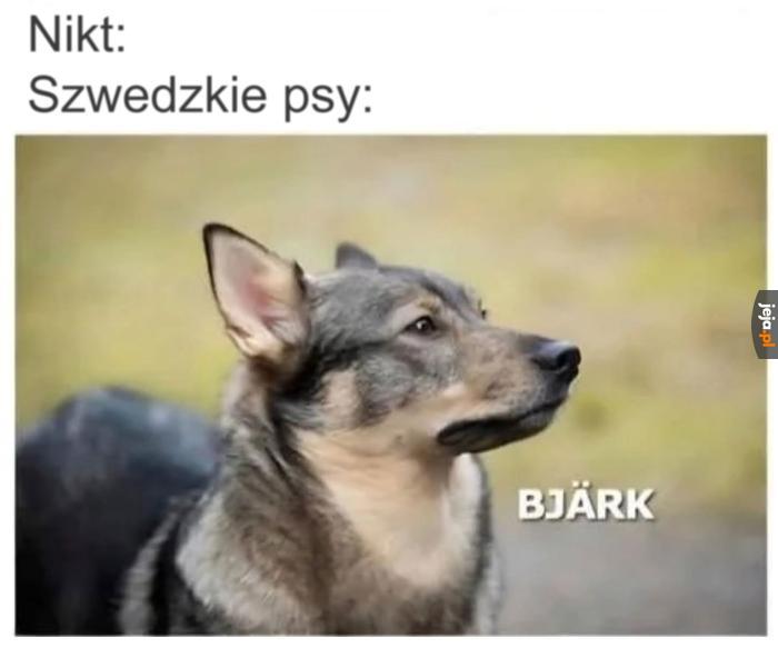 Jest taka piosenkarka