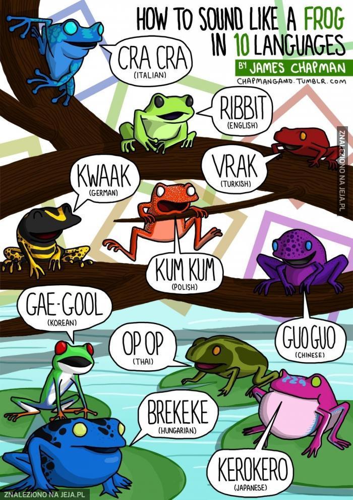 Tak kumka żaba w 10 różnych językach