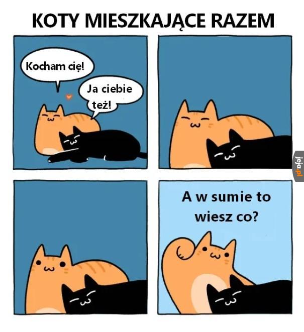 Pora na przemoc