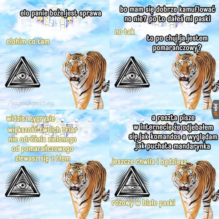 Przeciętna rozmowa Boga z tygrysem