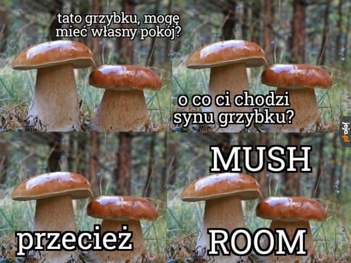 Mushroom core