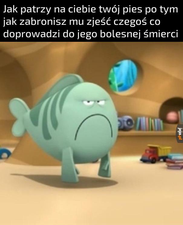 Przepraszam mała, nie mogę ci pozwolić