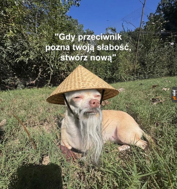 Sztuka Wojny